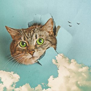 美女光溜溜XX视频
