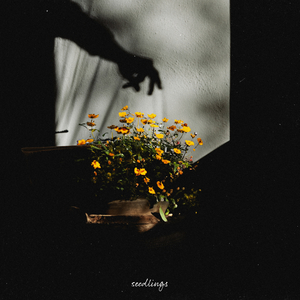 美女光溜溜XX视频
