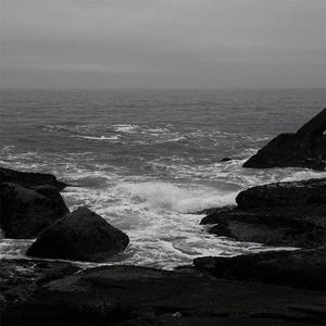 美女光溜溜XX视频
